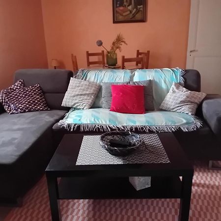Appartement Spacieux Dans Joli Village Alsacien Châtenois 外观 照片