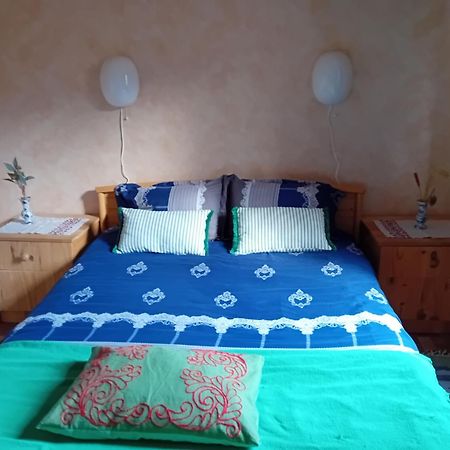 Appartement Spacieux Dans Joli Village Alsacien Châtenois 外观 照片