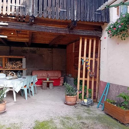 Appartement Spacieux Dans Joli Village Alsacien Châtenois 外观 照片