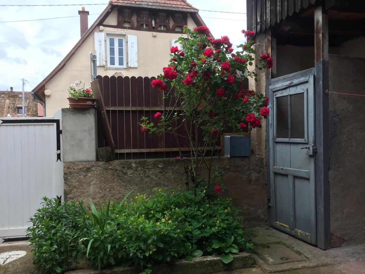 Appartement Spacieux Dans Joli Village Alsacien Châtenois 外观 照片