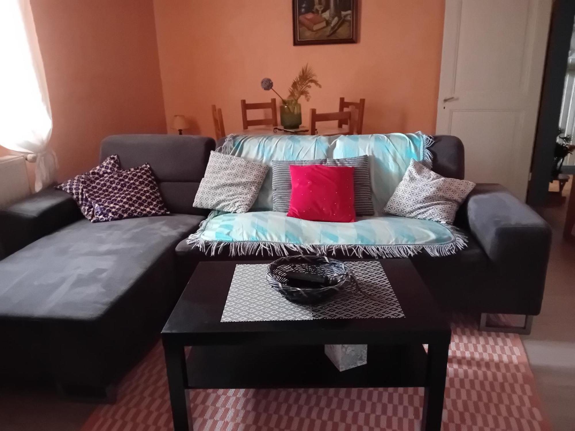 Appartement Spacieux Dans Joli Village Alsacien Châtenois 外观 照片