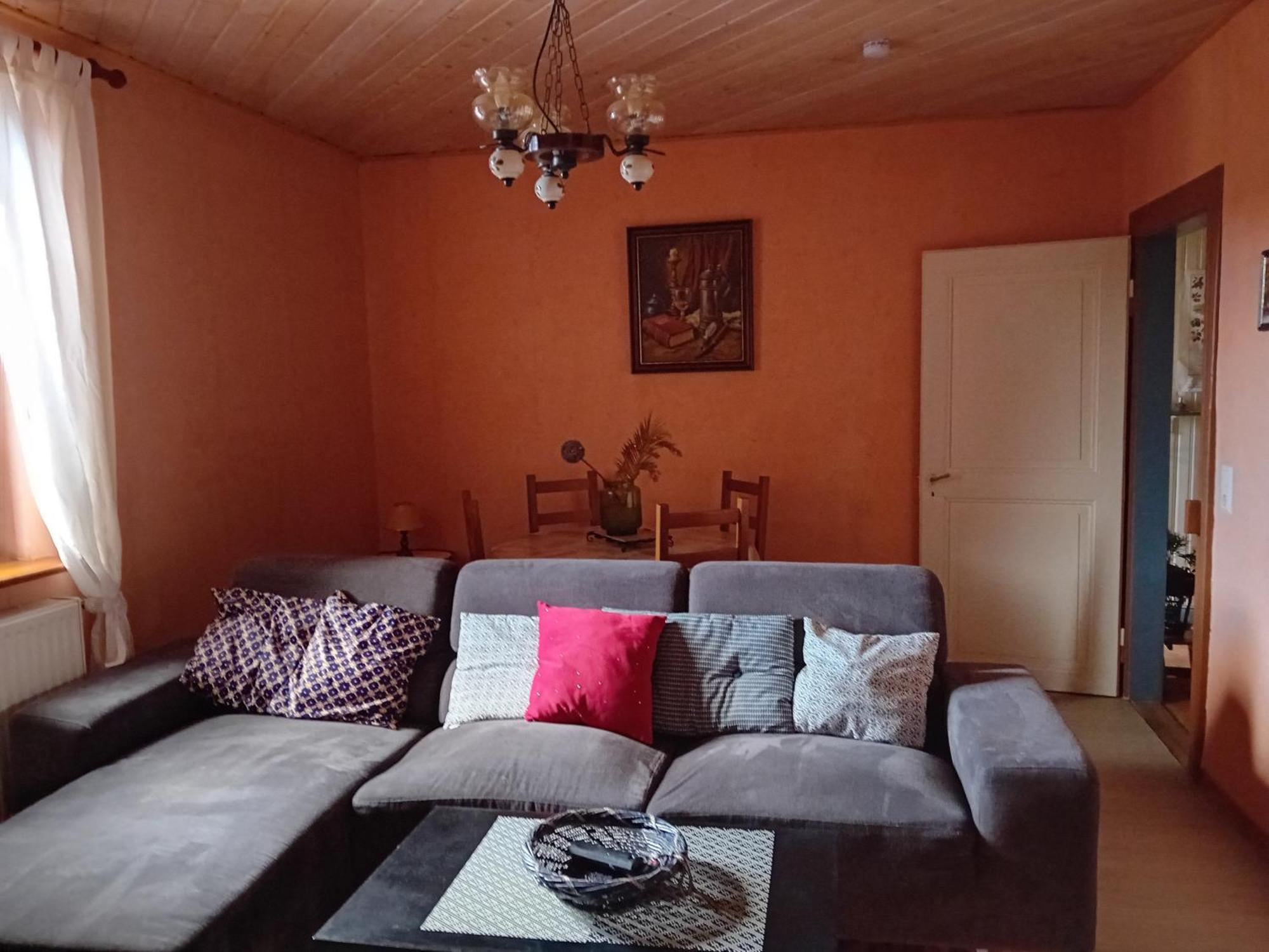 Appartement Spacieux Dans Joli Village Alsacien Châtenois 外观 照片