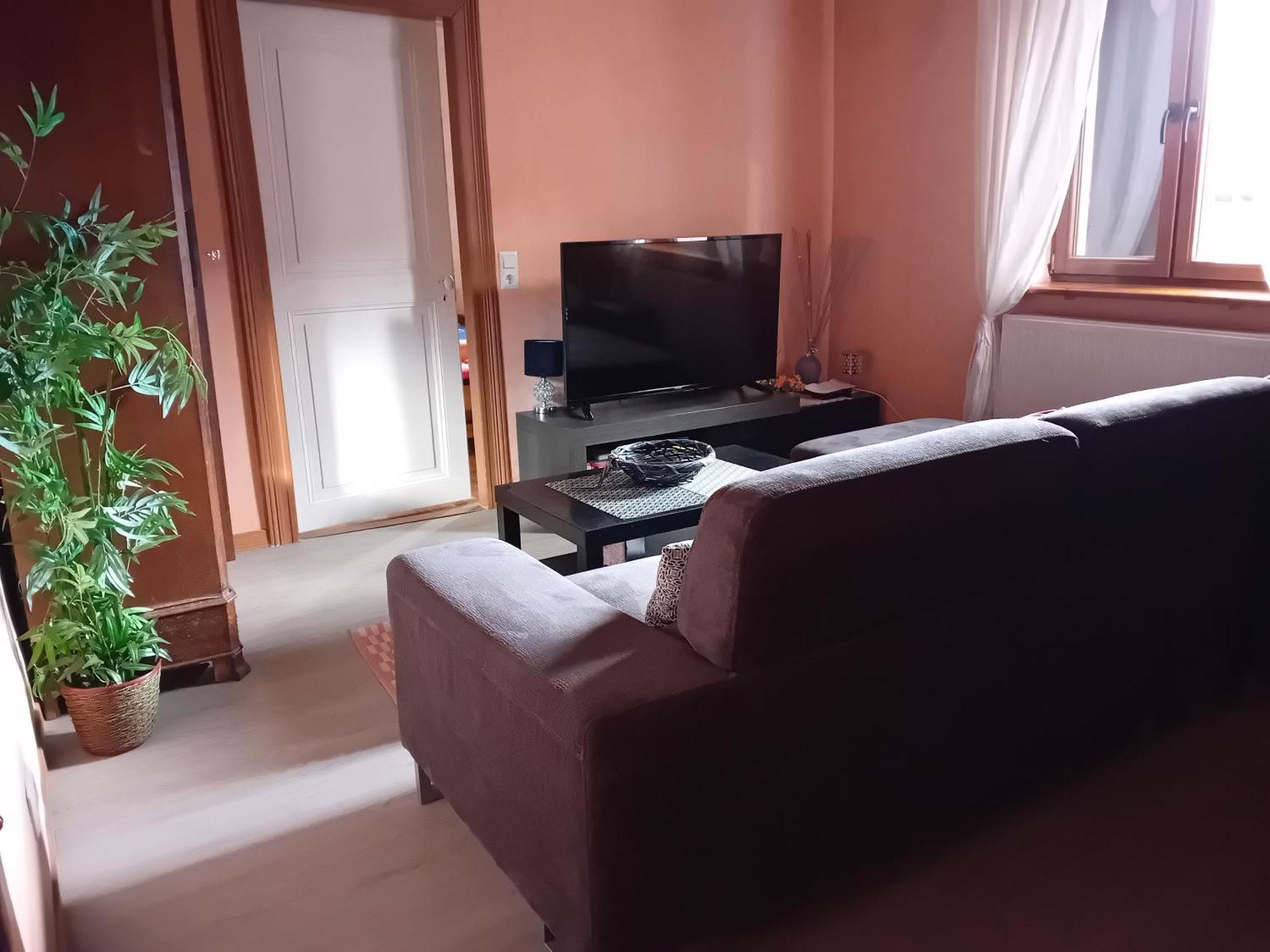 Appartement Spacieux Dans Joli Village Alsacien Châtenois 外观 照片