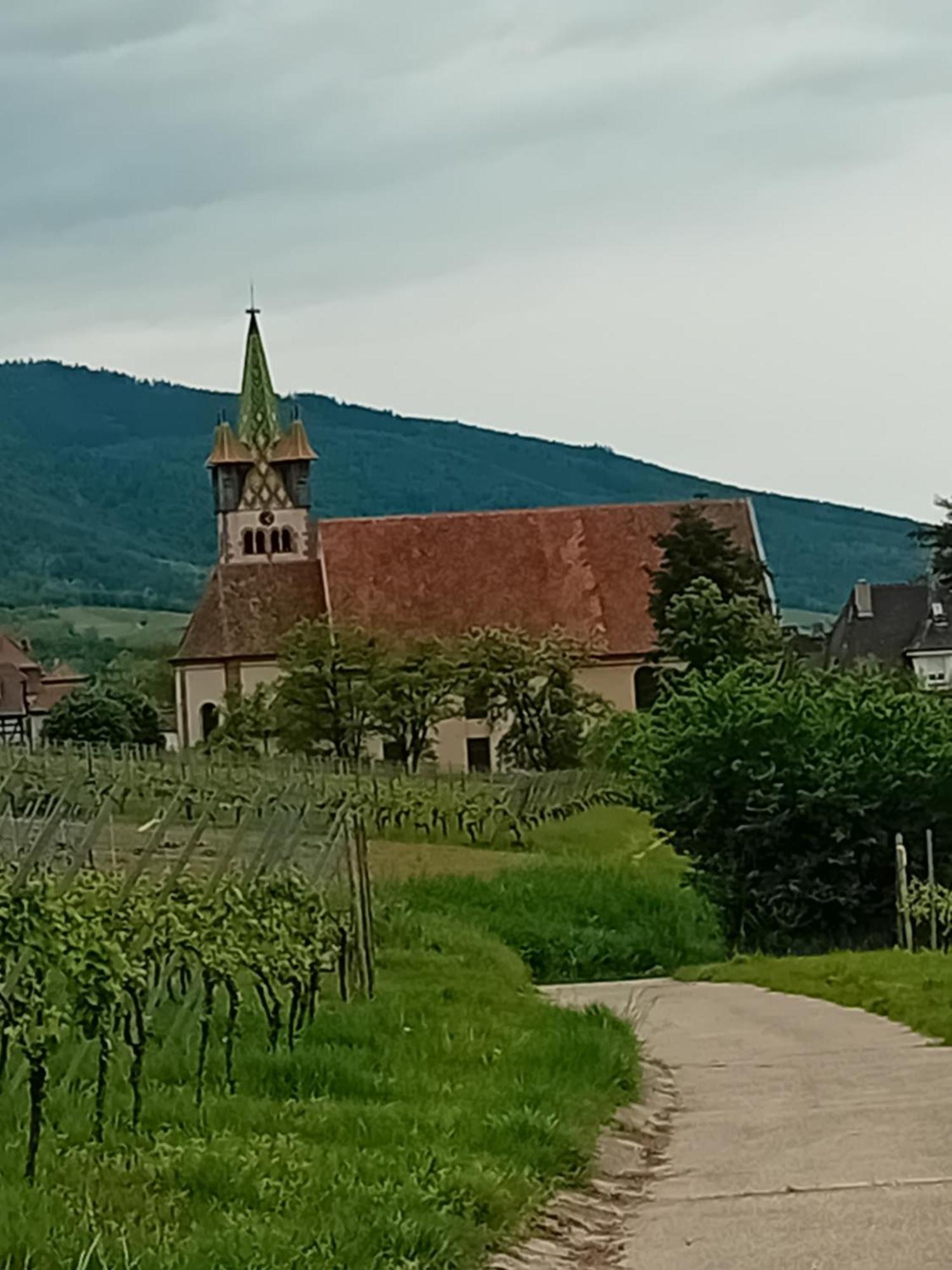 Appartement Spacieux Dans Joli Village Alsacien Châtenois 外观 照片