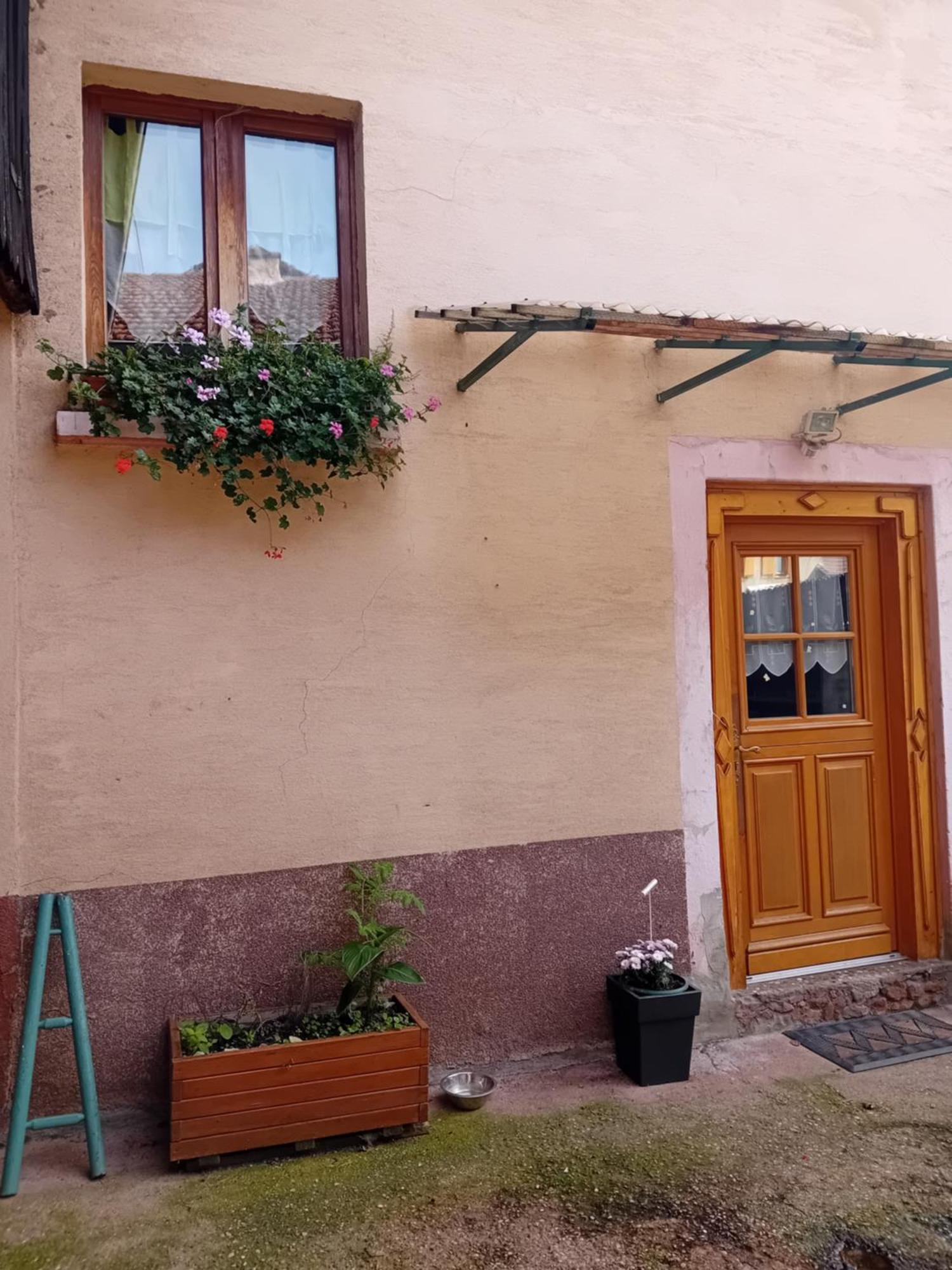 Appartement Spacieux Dans Joli Village Alsacien Châtenois 外观 照片