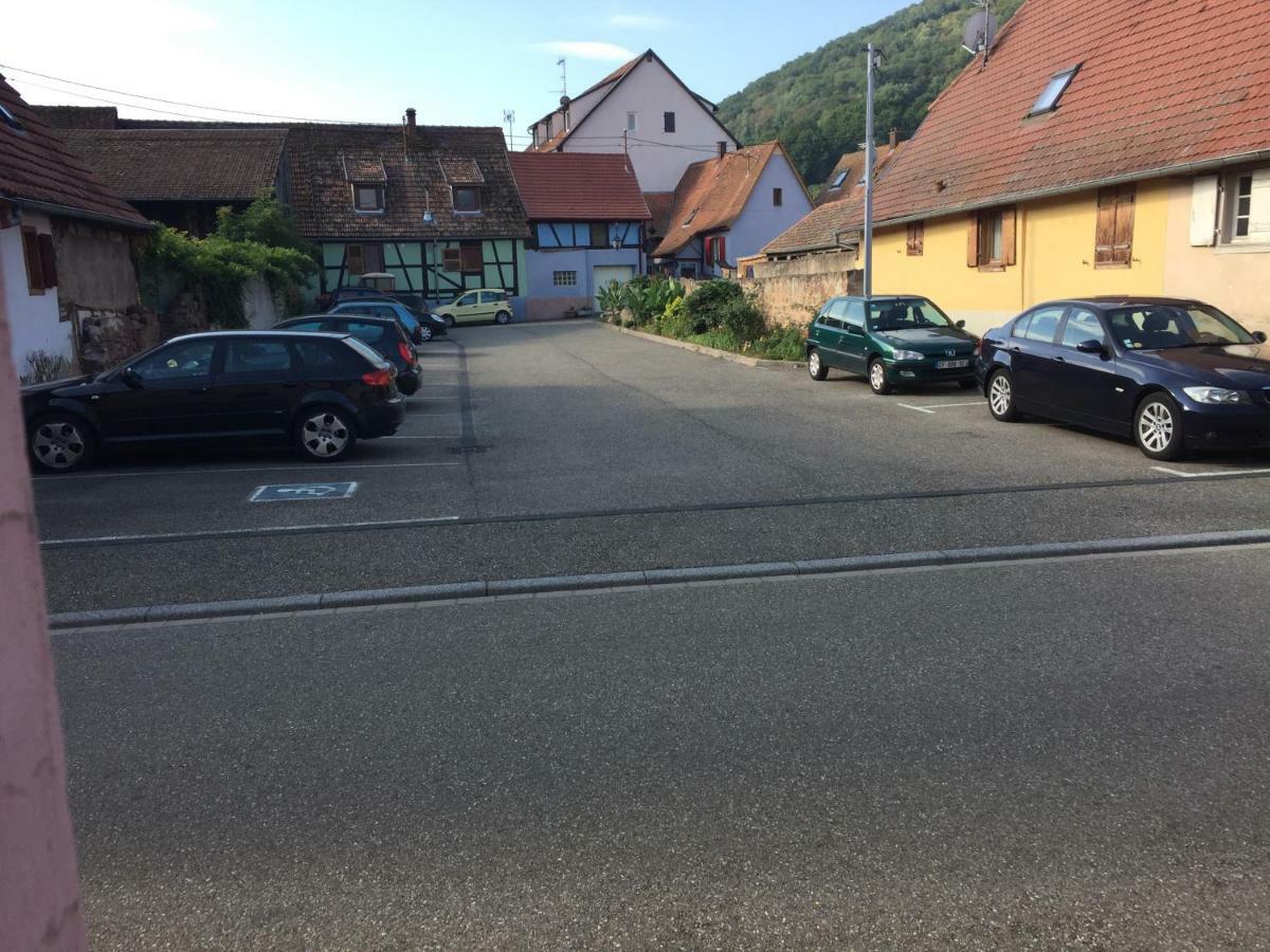 Appartement Spacieux Dans Joli Village Alsacien Châtenois 外观 照片
